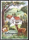 AK Reichelsheim / Rohrbach, Gasthaus - Pension "Zum Frstengrund" - Willi Frey, um 1960