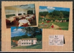 AK Reichelsheim / Ober-Ostern, Gasthaus und Pension "Zum Ostertal" - Rauch - Lang, gelaufen 1973