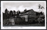 AK Michelstadt / Waldhorn, Gasthaus und Pension "Waldhorn", gelaufen 1953