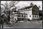 AK Michelstadt / Waldhorn, Gasthaus und Pension "Waldhorn" - Heinrich Gebhard, gelaufen 1961
