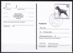 Bund 1798 als portoger. EF mit 80 Pf Jugend 1995 / Schnauzer auf Inlands-Postkarte von 1995-1997, codiert