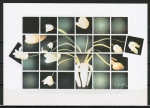 10 gleiche Ansichtskarten von Stefan de Jaeger - "Tulpen fr Sam" (1982)