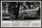 AK Bad Knig, mit Lied-Text vom "Baum im Odenwald", um 1940 / 1950