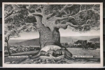 AK Bad Knig zu Thema: "Es steht ein Baum im Odenwald", um 1950