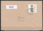 Bund 2436 als portoger. EF mit 144 Cent Keltenfrst vom Glauberg auf "kleinformatigem" Inlands-Brief ber 50g von 2005, B6-Format