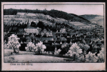 Repro Foto einer Ansichtskarte von Georg Vetter mit den beiden Schlssern zur Apfelbaum-Blte - von 1912