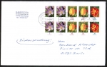 Bund 2480 / 2484 / 2471 als kpl. Blumen-Zdr.-Blatt Krokus / Tulpe / Tagetes auf Inlands-Bchersendung ber 50g von 2013-2018, codiert, 20 cm lang