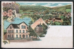 Litho-AK Bad Knig / Zell, mit Schule und Post und Villa Charlotte, um 1905