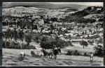AK Reichelsheim, Teilansicht mit Pferde-Mhwerk wohl bei der der Getreide-Ernte, gelaufen 1957