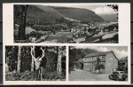 Ansichtskarte Oberzent / Kailbach, Gasthaus und Pension "Zur Waldeslust" - K. Hieronymus, wohl von 1950 (?)