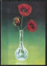 Ansichtskarte von Joan Copeland - "Roter Mohn in Vase"