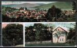 AK Bad Knig, Gasthaus Berggarten und Odenwaldbaum, gelaufen 1909