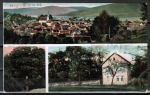 AK Bad Knig, Gasthaus Berggarten und Odenwaldbaum in Kimbach, gelaufen 1909