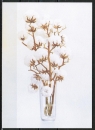 Ansichtskarte von Joan Copeland - "Weie Blumen in Vase" (Baumwolle?)