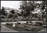 BK Bad Knig, Kurgarten mit Sanatorium Mller, ca. 1965